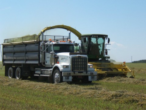 Silage Time